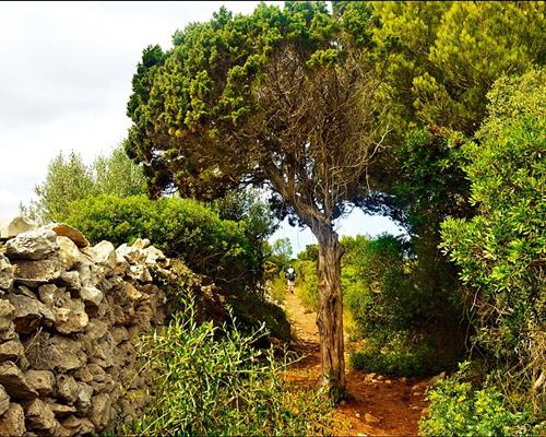 Walking and Cycling Paths